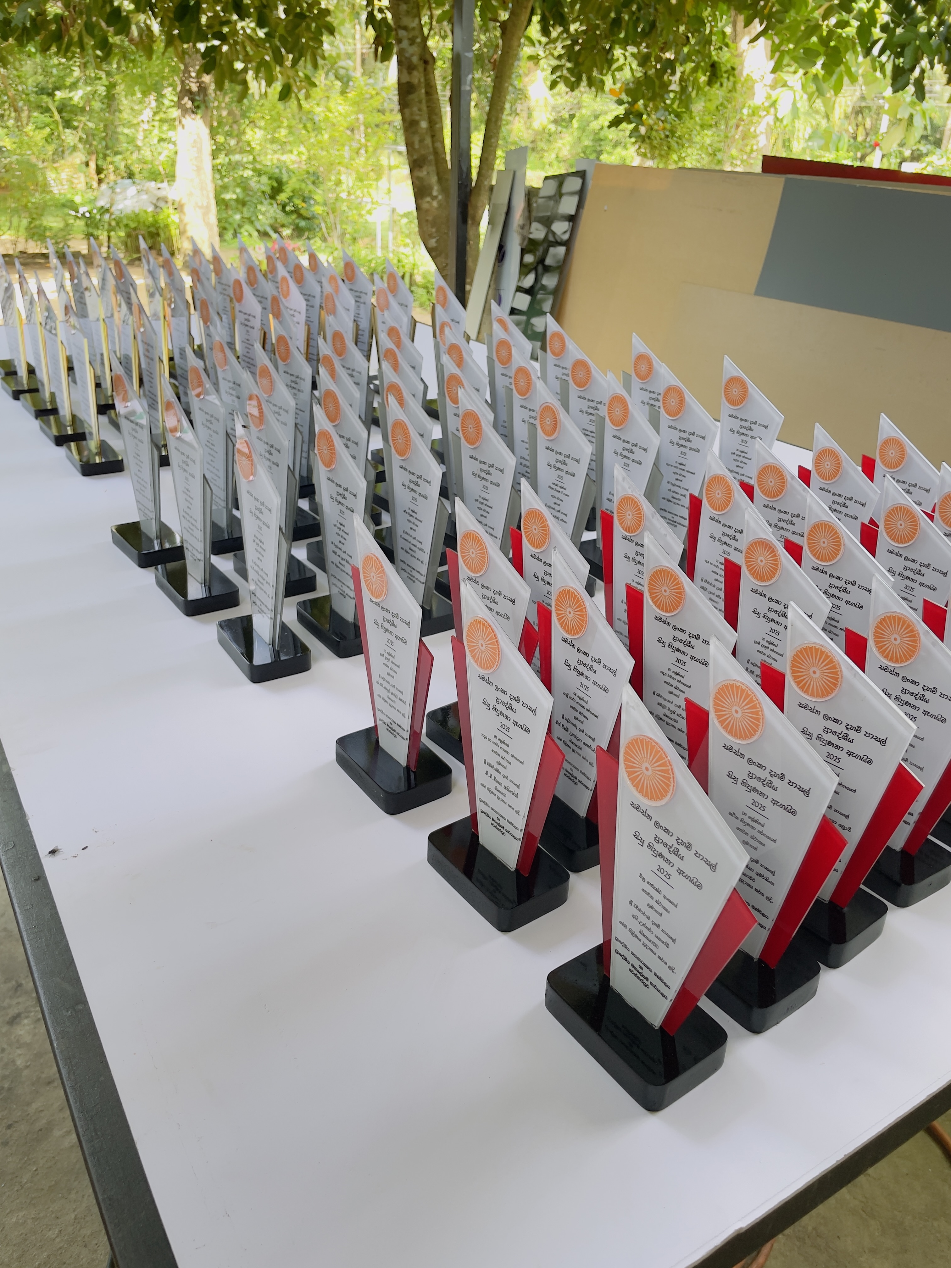 Custom awards & trophies